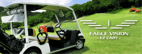 EAGLEVISION CARTNAVI